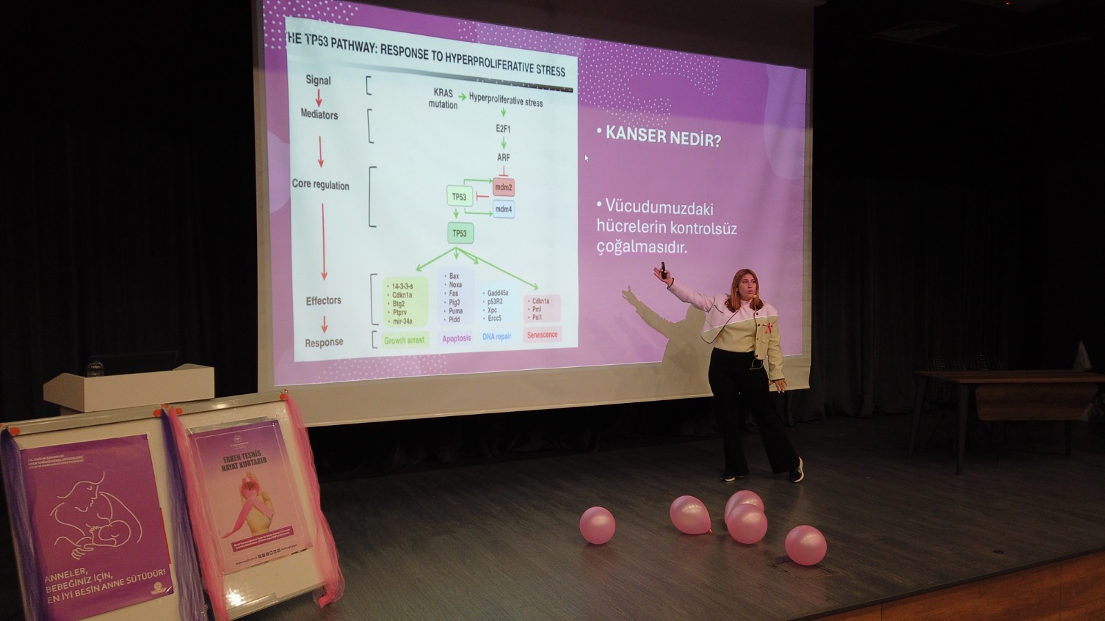 Gürsulu Kadınlara Pembe Duyarlılık Kazandırıldı